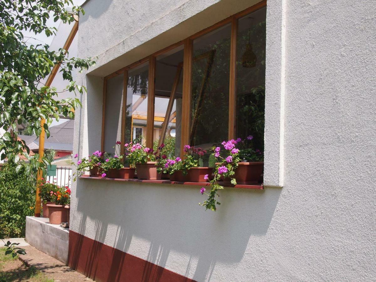 Deel Apartman Nyiregyhaza Luaran gambar